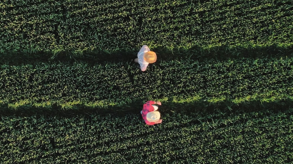 Cabinet de conseil aux entreprises